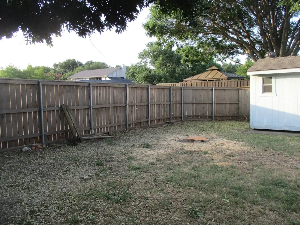 Cleared yard after professional tree removal in West Enfield